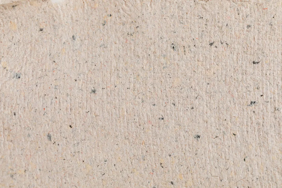 Fibres du papier vues à très fort grossissement